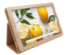 Чехол-подставка Hoozo для планшетов 10.1 дюймов (240мм х 160мм) Gold